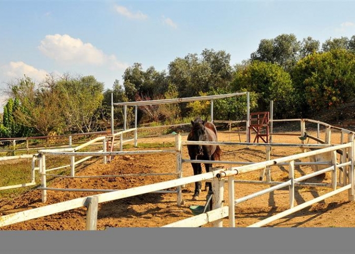 אחוזת ציפורי ספא ואירוח בגליל