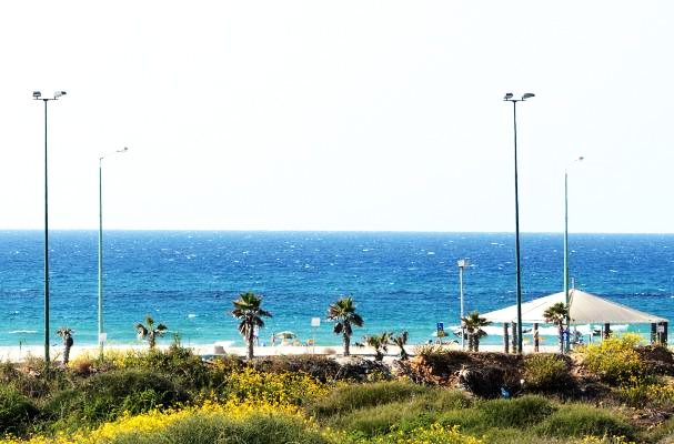 מלון Q ויליג'